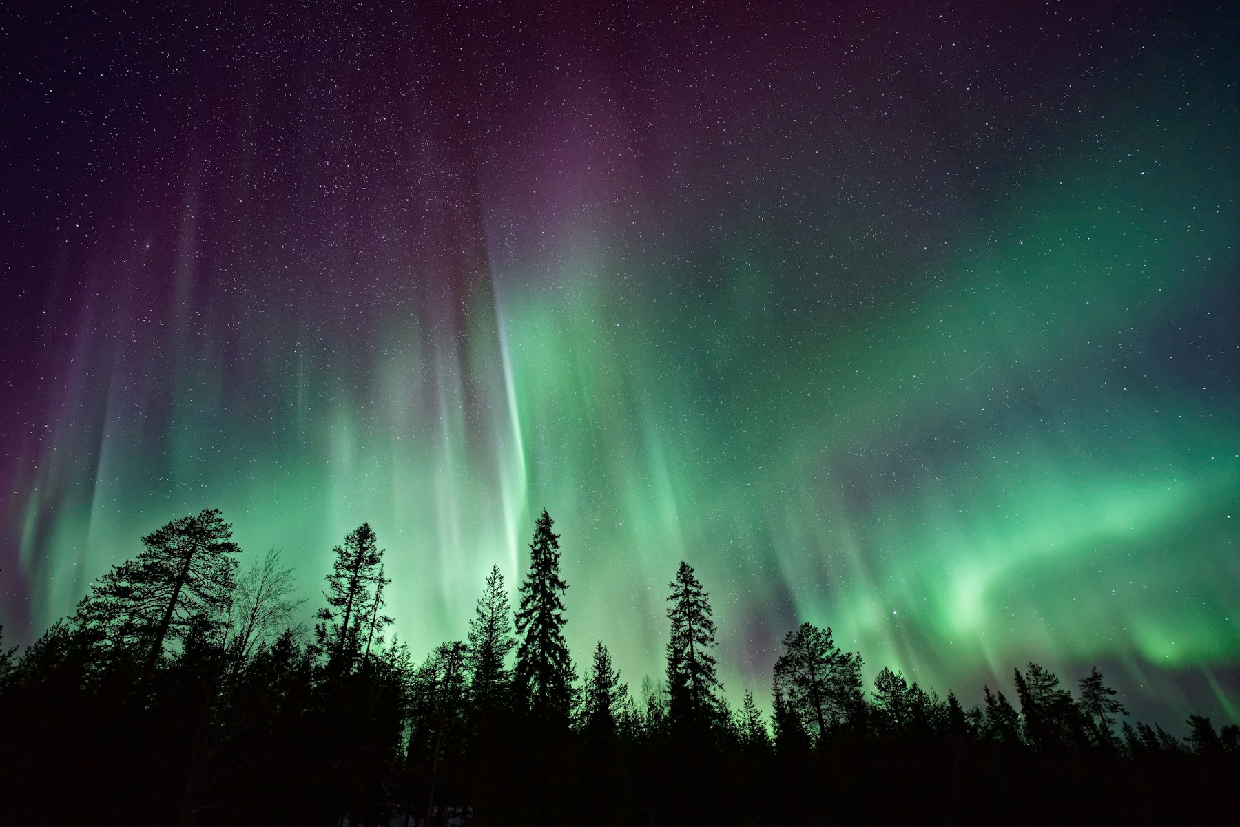 Electric-green aurora